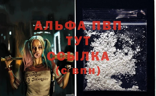 твердый Алзамай