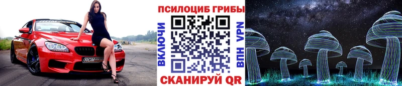 Псилоцибиновые грибы Psilocybine cubensis  Шелехов 